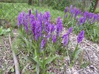 Bild 11 von 11