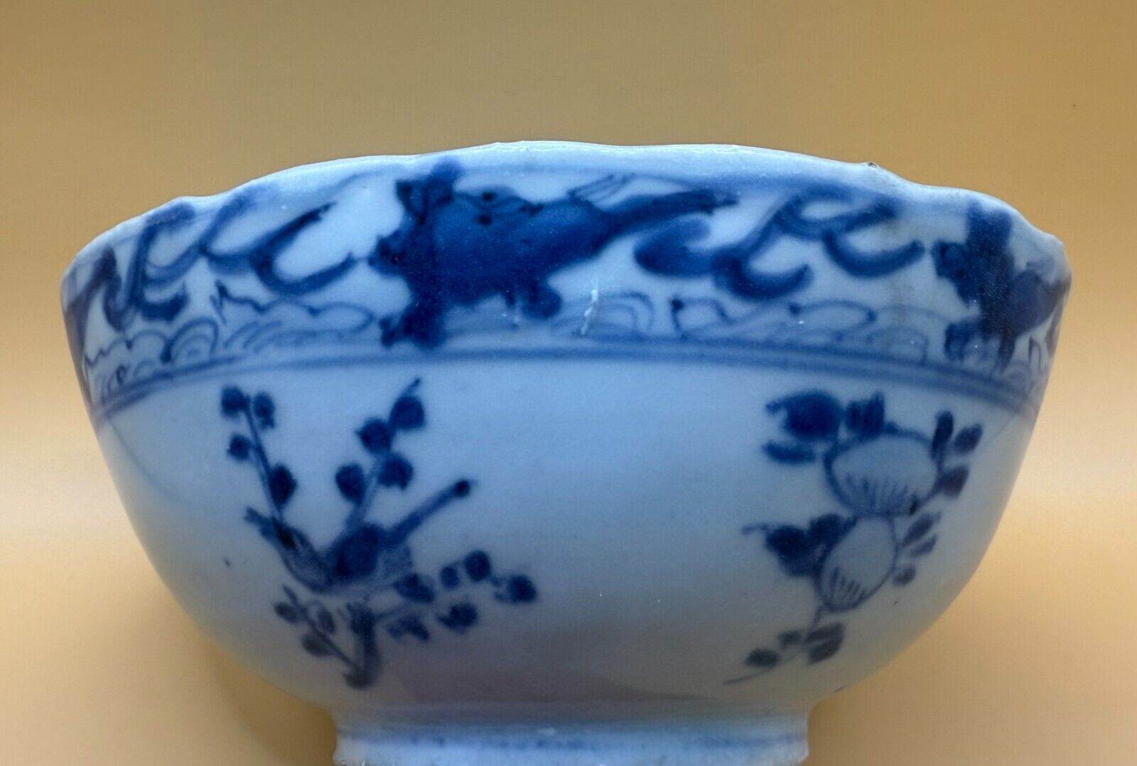 Picture 5 of 16