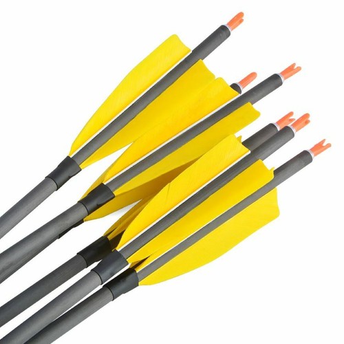 12pcs Carbon Arrows SP400 Target Practice Compound Recurve Bow Archery Hunting - Picture 22 of 26
