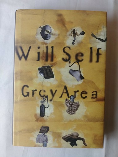 Will Self Grauzone von Will Self (Hardcover) Vintage Buch (1996) Reprint - Bild 2 von 8