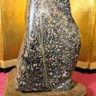 Foto 9 di 11
