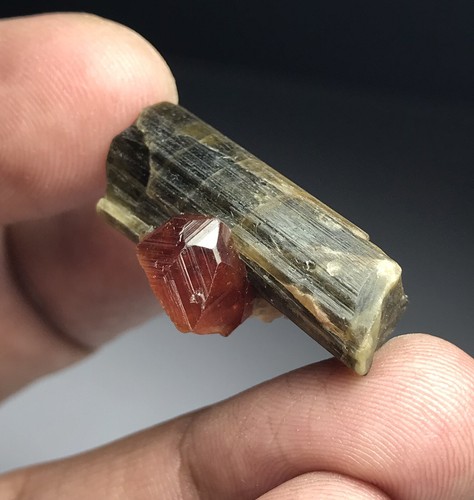Grossular On Clinozoisite-Epidote - Picture 4 of 10
