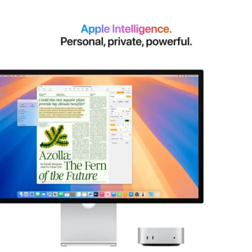 Apple Mac mini Desktop M4 chip Apple Intelligence 16GB , 256GB SSD Silver - Picture 5 of 6