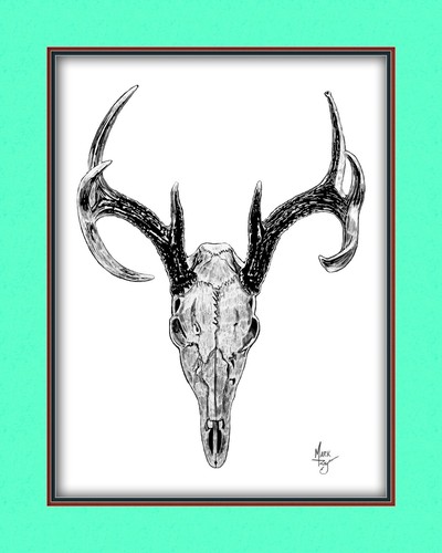 Whitetail Deer Buck Skull Wildlife Canvas Art Print Multi Border Matting Colors - Picture 12 of 14