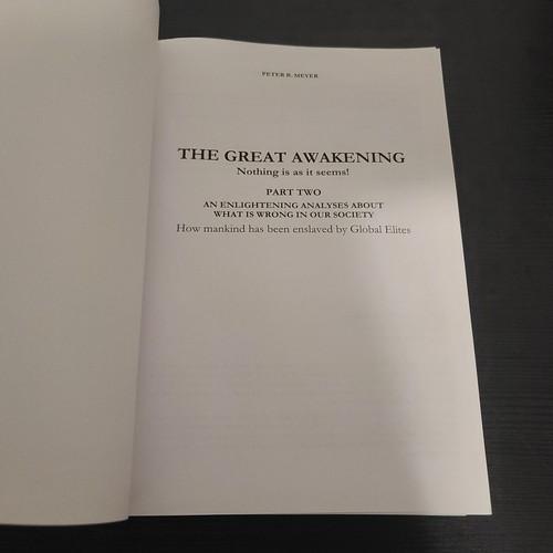 The Great Awakening: Part 1 & 2 Nothing is as it seems PB Peter B. Meyer 2017 - Picture 8 of 9
