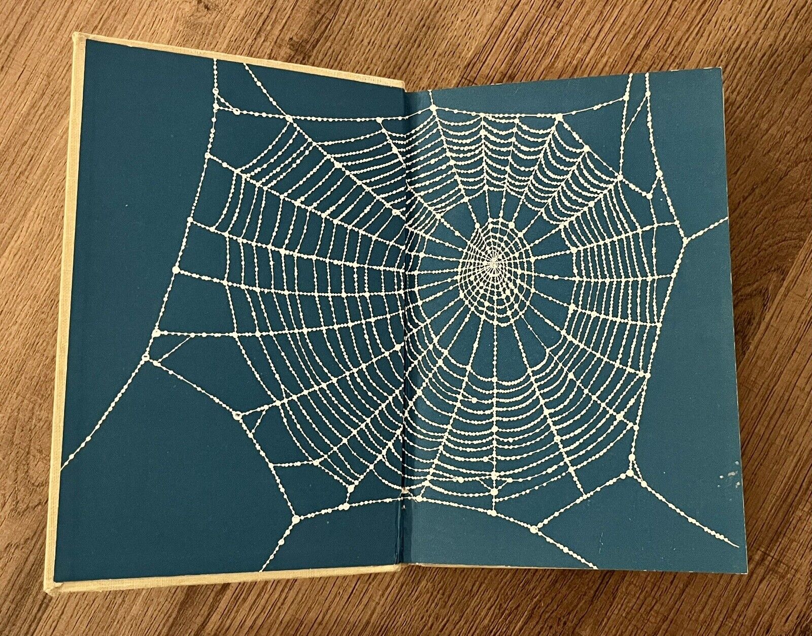 Picture 4 of 14