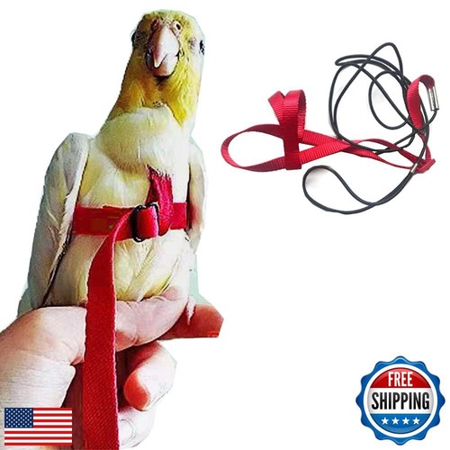 Anelekor Adjustable Birds Harness and Leash Parrot Harness Leash Training Sup - Bild 1 von 5