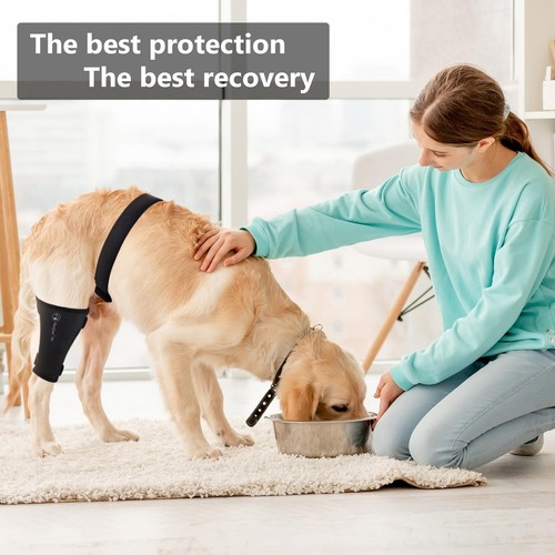 Dog Knee Brace Pro, for Dogs ACL, Luxating Patella,Dog Hip Brace for Back Leg... - Picture 6 of 6