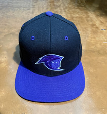 Team Rival Hat