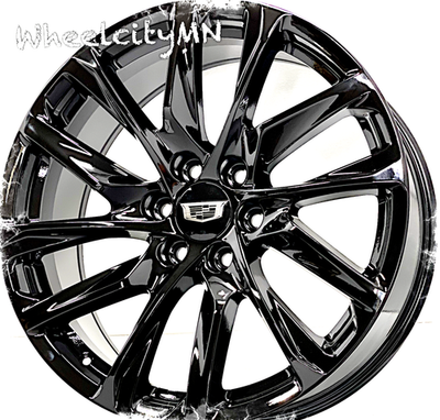 正月セール！DeliciousTaylormade “The BLAC 24