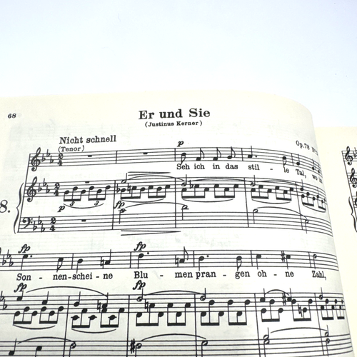 Schumann Duette Max Friedlaender Edition Peters Nr. 2392 Klavier Zwei Singstimmen - Bild 17 von 19