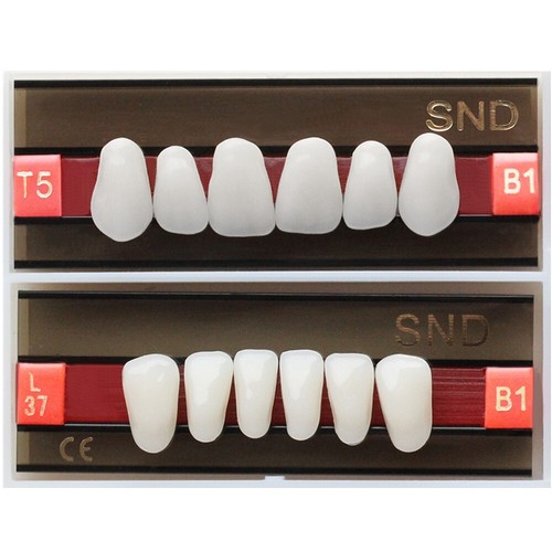B1 Paralume Dentale Sintetico Resina Acrilica Finta Protesi U/L Sbiancamento Denti Finti - Foto 13 di 47