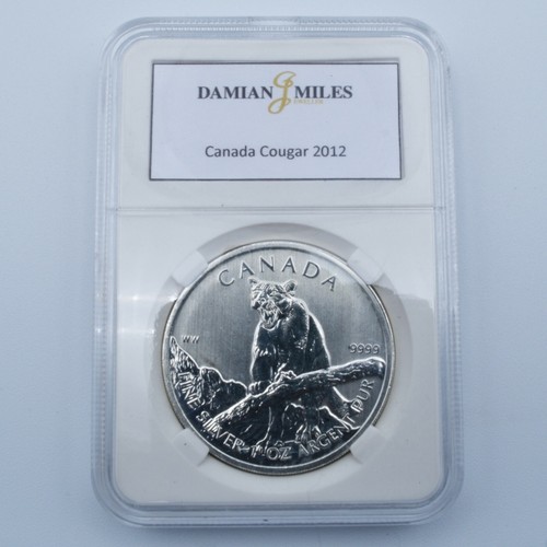 ACRYLIC COIN SLABS (BOXES) for Silver Bullion Coins. NOT COINS. UK Supplier. - Picture 10 of 21
