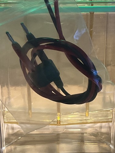 Bio-Rad PROTEAN II xi Zelle vertikale Elektrophoresezelle mit Sonden NEU - Bild 4 von 4