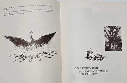 Vtg. 1972 SKETCHES & OBSERVATIONS...FOR ART, ANYTHING Bill Rakocy "Rak" Book - Picture 14 of 24