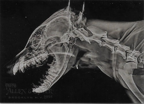 2024 Topps Allen & Ginter X-Ray’d  U-Pick your Card Complete your Set - Picture 20 of 21