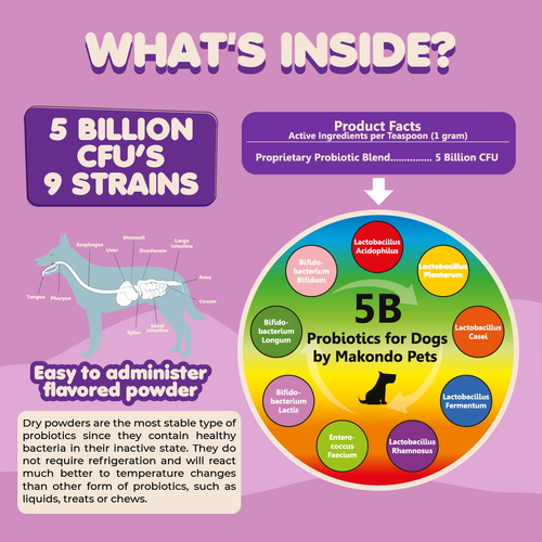 5B Dog Probiotics – Support Digestion, Gut Flora, Stomach and Intestine Health - Picture 6 of 8