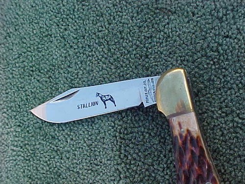 Collectible PARKER CUT CO Surgical Steel Pocketknife Japan Bone STALLION NIB NOS - Picture 6 of 7