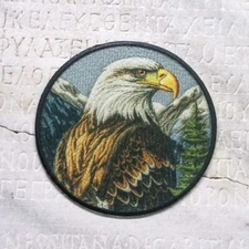 Eagle - Bird - American Eagle - Patriotic - Embroidered Iron On Applique Patch