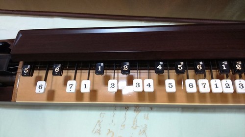 Suzuki high-end Taishogoto 'Tenga' (典雅)  with Semi-hard Case (#01) - Picture 3 of 4