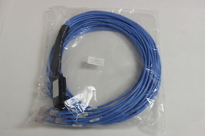 HYDRA CABLE 12 LEGGED RJ45 TO 50 PIN TELCO CONNECTOR 5 FOOT CABLE NEW 990034