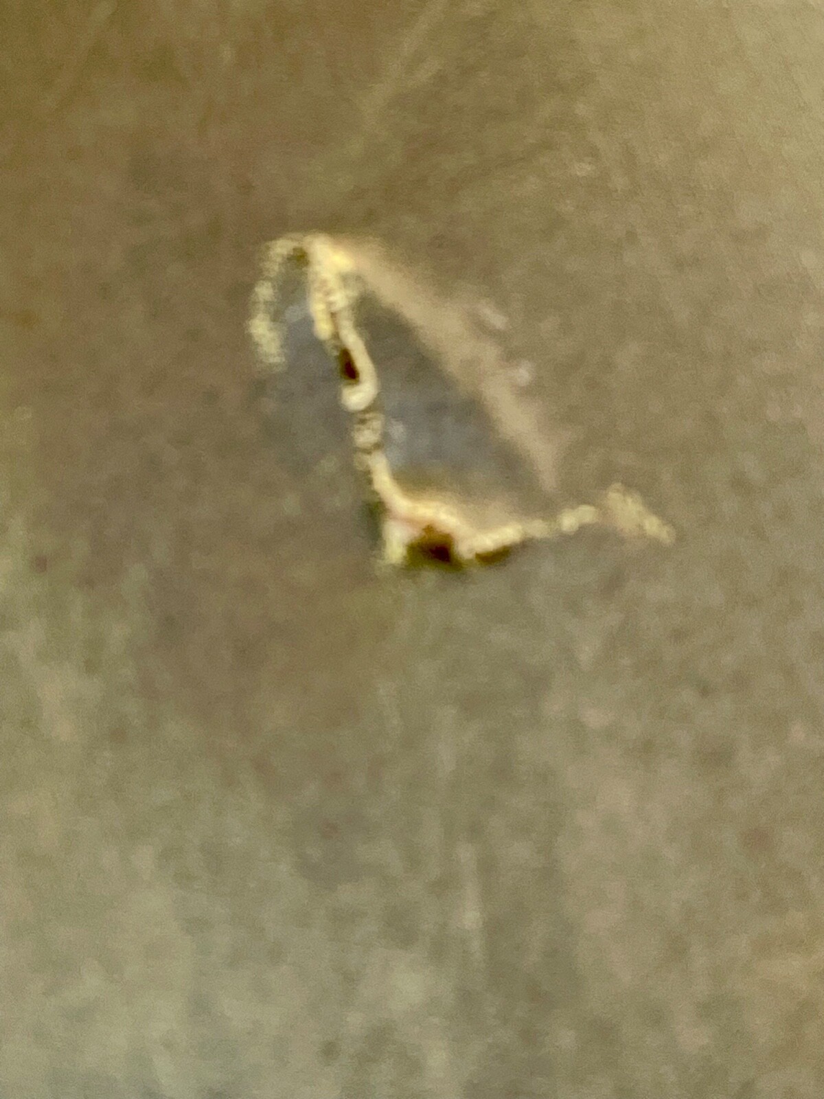Picture 5 of 18