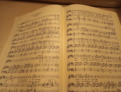 Franz Schubert Second Vocal Album Vol. 352, 82 songs with piano accompaniment - Picture 12 of 17