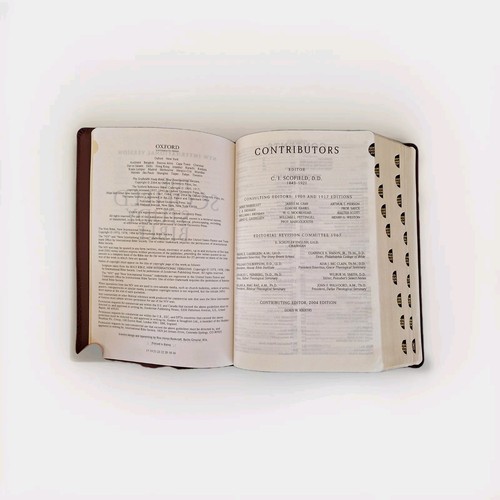 Holy Bible- Red Letter/Concordance- New Scofield Study System- NIV: Oxford 2004 - Picture 7 of 12