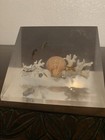 Mid Century Lucite Acrylic Book Ends Sea Life