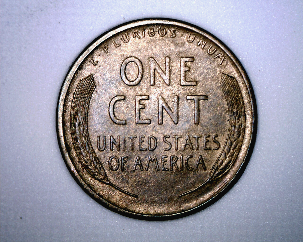 Picture 5 of 12