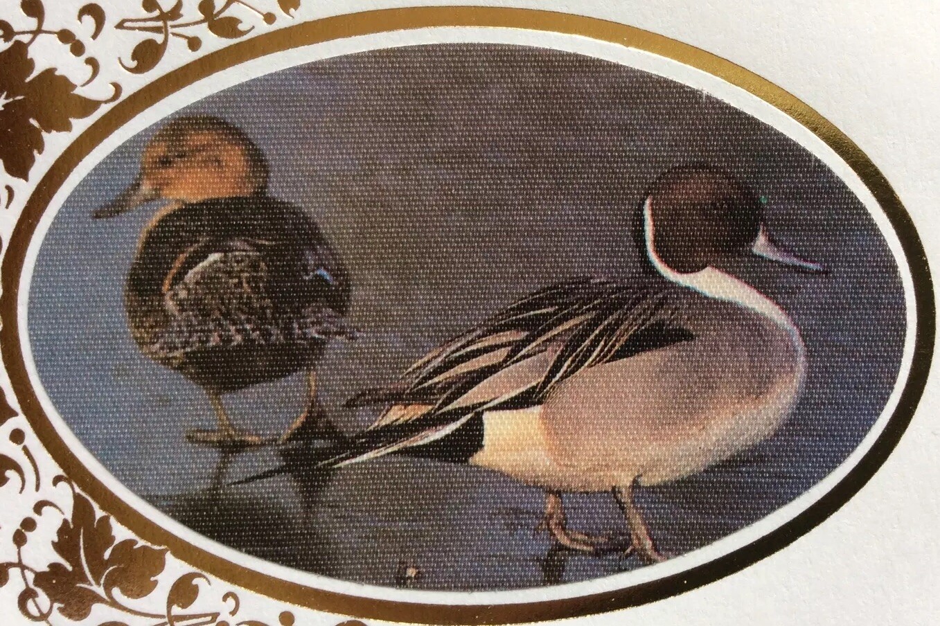 Picture 3 of 12