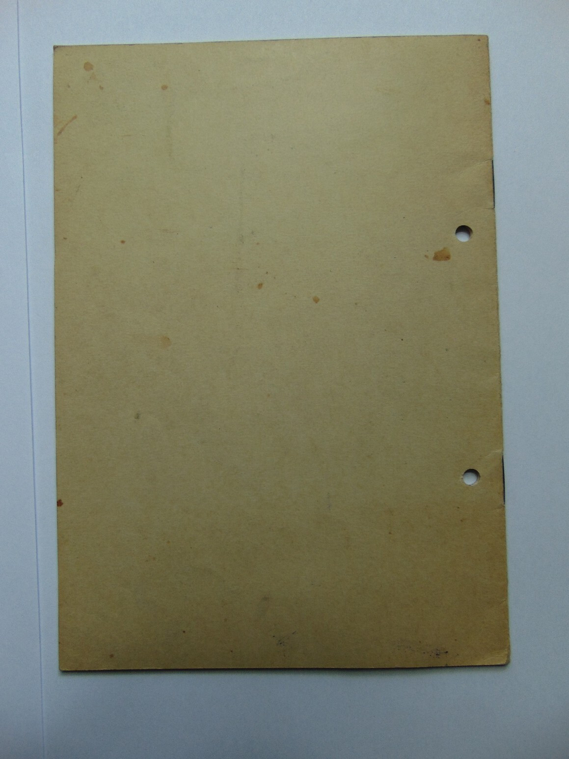 Bild 11 von 15