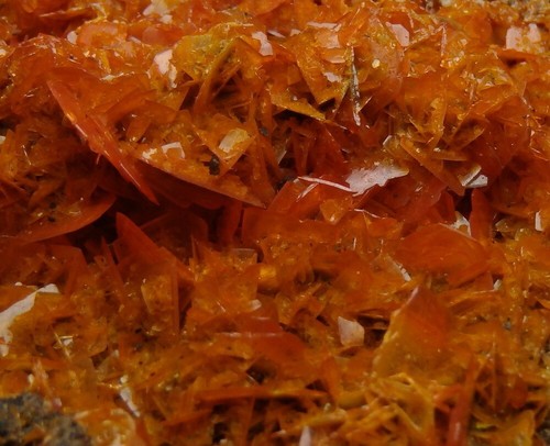 WULFENITE lustrous orange crystals -- CHINA - Kuruktag Mountains /pj816 - Picture 12 of 12