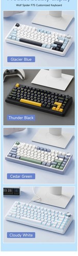 Wireless Mechanical Keyboard,Gamer Keyboard Customized Hot-Swap Layout - Picture 20 of 23