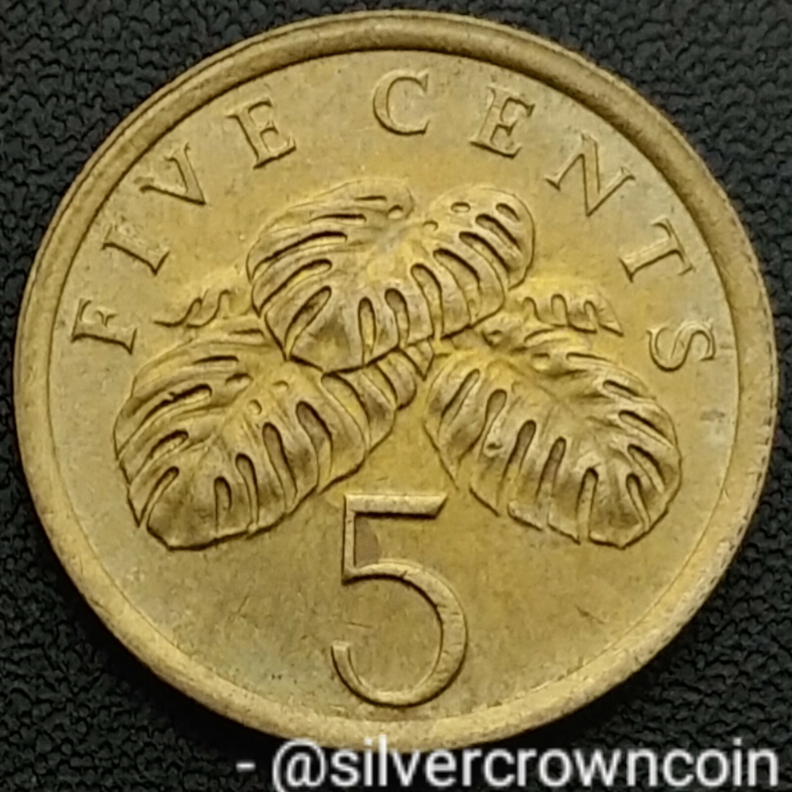 Picture 1 of 8