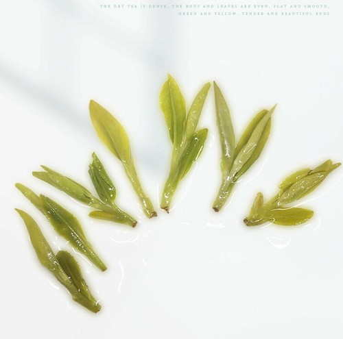 thé vert grüner Tee Newest Spring,Dragon Well cha, Long jing Green Tea - Picture 4 of 6