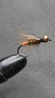 6 TUNGSTEN HEAD ORANGE BUTT PRINCE NYMPHS FOR FLY FISHING -PRINCE 3