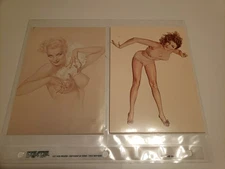 Set of 4 The Varga Girls Pin Up Esky-Card Vintage 1979 greeting cards 1941