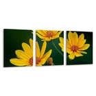 3pcs Mustard Yellow Flowers in Green Background Wall Art Canvas Framed 50x70cm