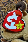 Foto 6 di 8