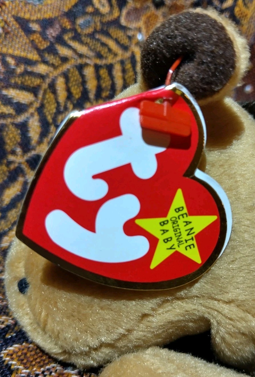 Foto 6 di 8