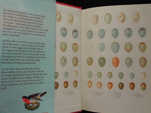 SIGNED; The Robin: A Biography - Stephen Moss (2017-1st) Bird - Year in the Life - Picture 4 of 14