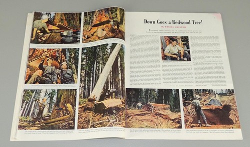 Saturday Evening Post Magazine November 10 1945 Atomic Bomb Mead Schaffer Cover - Picture 6 of 10