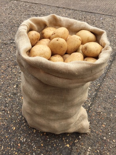5 x Adults Sack Race Extra Large Hessian Sacks Ideal for Garden Games 60 x 106cm - Picture 4 of 4