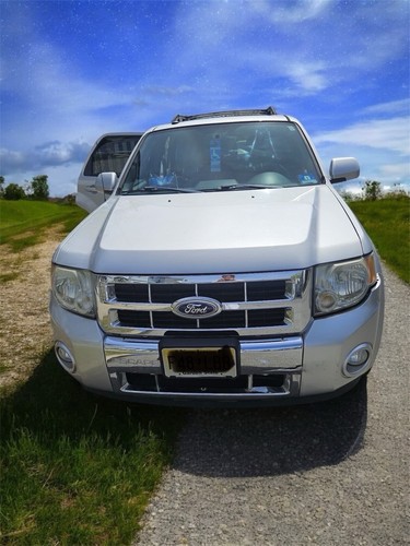 2011 Ford Escape Limited