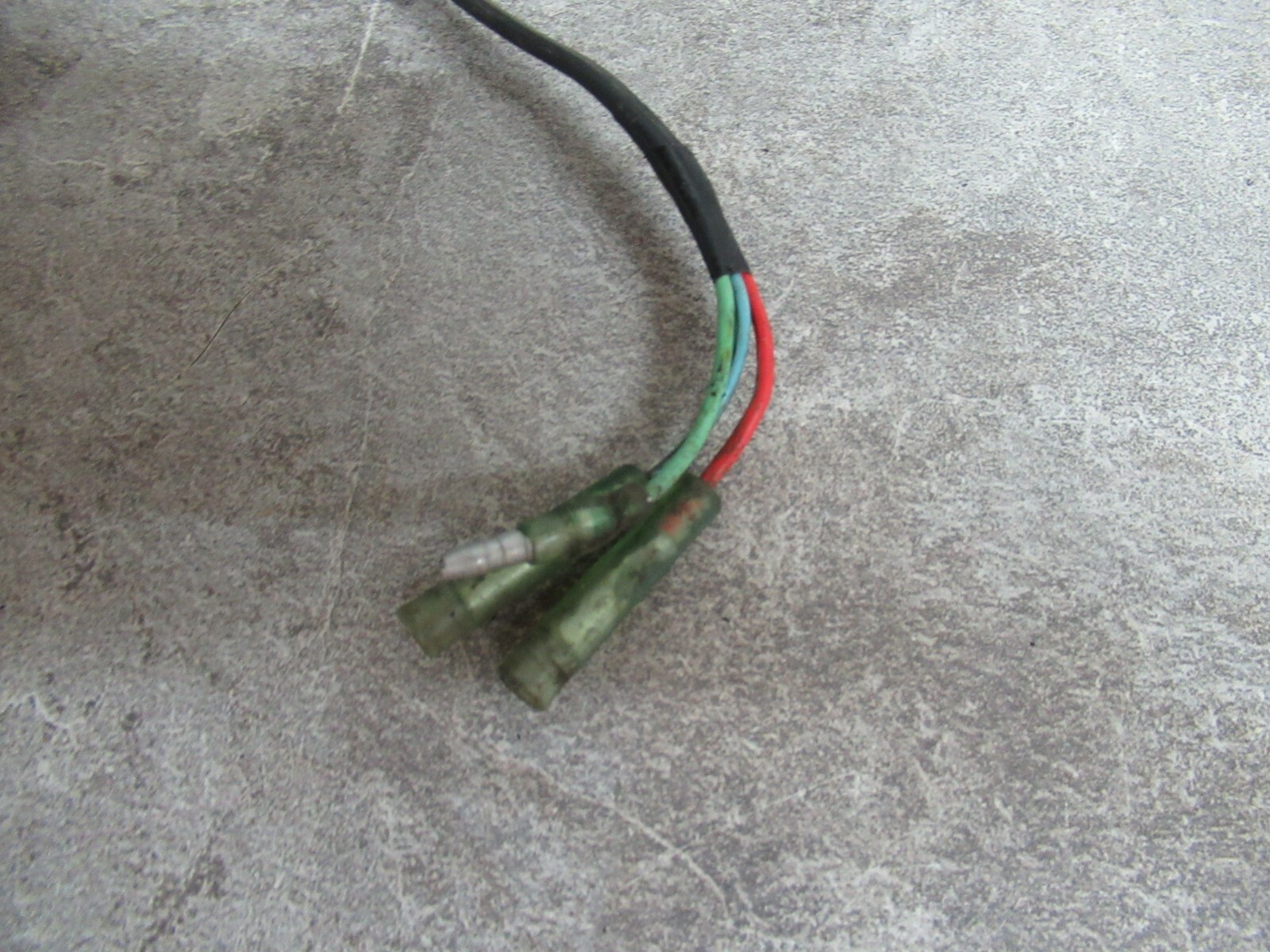 Foto 11 di 12