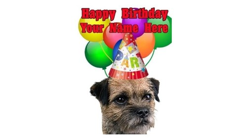 Border Terrier Hund Party Karte Codebtr Geburtstag A5 personalisierte Grußkarte