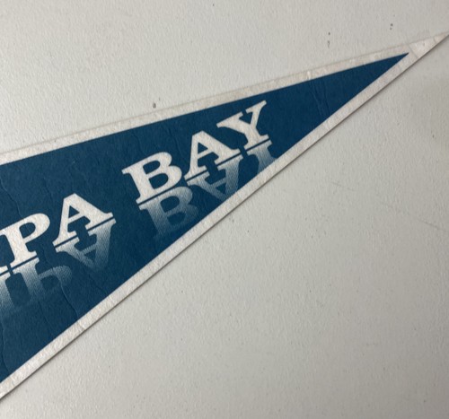 Vintage Tampa Bay Devil Rays Felt Pennant 1995 MLB 30”x12” Rare Logo Trench - Picture 4 of 4