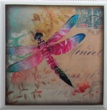 Dragonfly and Iris I TSGG8 Thirstystone Drink Coaster Set