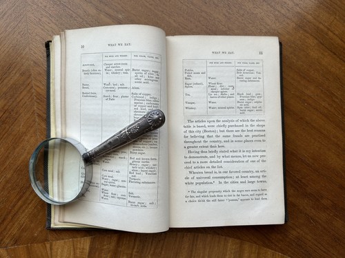 What We Eat Adulterations of Food & Drink 1861 Thomas H Hoskins MD Nutrition 1st - Picture 8 of 11